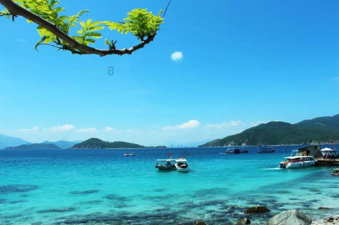 油可以放微波炉加温吗？游戏画面